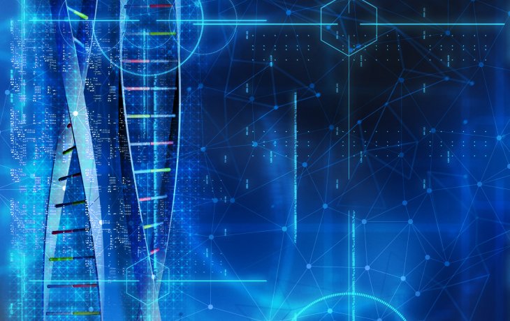 Beylikdüzü Web Tasarım: Bölgenizin Dijital Gücünü Katlayan Rehber