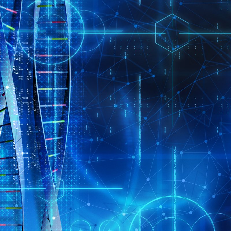 Beylikdüzü Web Tasarım: Bölgenizin Dijital Gücünü Katlayan Rehber